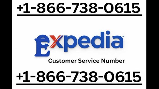 Official Expedia® Support Guide | Step-by-Step Customer Service Help