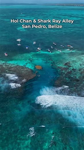 Dreaming of 2026 in Belize? Ambergris Caye is calling. Think clear waters, lively beach bars, and unforgettable reef adventures right at your doorstep. 🏝️🌺 📸: @belizephotos . . . . . #AmbergrisCaye #Belize2026 #VisitBelize | Belize Hub