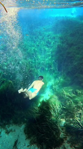 Sometimes you have to strip the tail to your favorite Silk Briefs from @GluteGod to feel free. #pride #pridemonth #mermen #merman #mensunderwear #mensbriefs #briefs #maleunderwearmodel #underwatermodel #gopro #yas #twunk