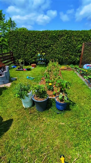 jardin 13 juin 2025 installation dun système d'irrigation 🫶🏼