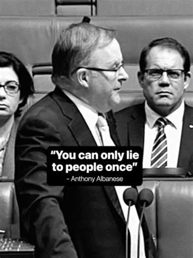 Albanese has lied repeatedly. #Budget #labor #auspol #Australia | DIY Pool On A Budget