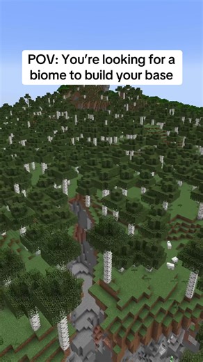 Plains is the go to biome fs | base