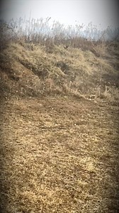 Women & Concealed Carry: Tips from the Experts Ladies, carry with confidence! 💪💼 Here are expert tips to help women stay prepared, protected, and empowered. #CCWSafe | CCWSafe