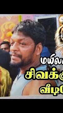#rowdy Chennai 💥Mylapore 💯Tiger🐯 Sivakumar⚙️ Video #awernessvideo