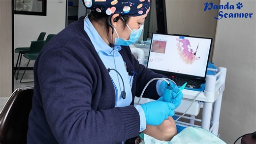 Panda Scanner on Instagram: "🎥 Stepping straight into the clinic—real case, real speed, real result. 🫣See how our upgraded software delivers smoother, smarter, stress-free scanning. #PandaScanner #IntraoralScanner #digitaldentistry #softwareupdate #DentalTech"