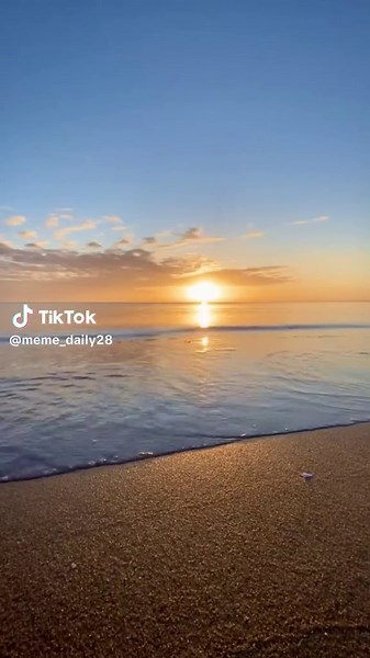 Funny Meme Videos Compilation: Hilarious Moments