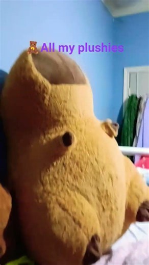 showing y'all my plushies.🧸And thank you for watching☺️