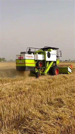 Vishal 435 Brisk Plus in Wheat Field | Vishal 435 Combine Harvester Working Video 2026