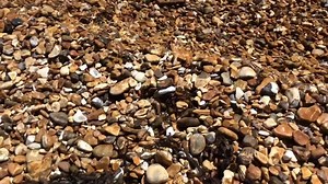 Select a song to go with this video! Taken at my local beach close to where I live. | Mike's Musical Memories
