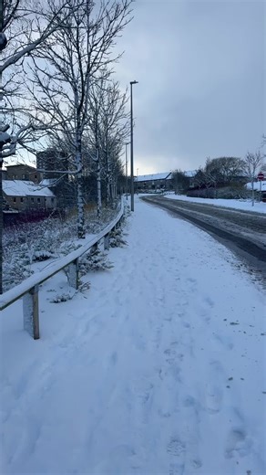 Christmas Celebrations in Scotland: A Winter Wonderland