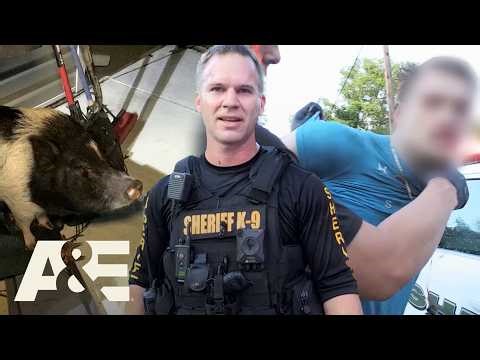 Live PD: Police Patrol – Back-to-Back Full Episodes – MARATHON Pt. 25 | A&E