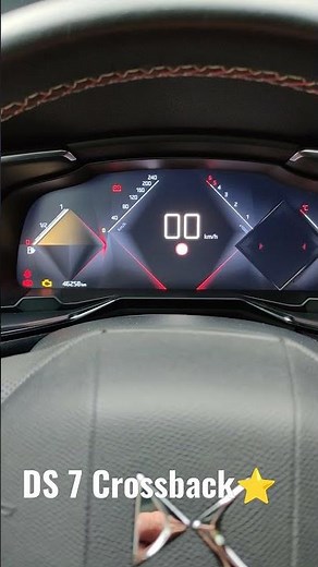 Instrument cluster settings DS 7