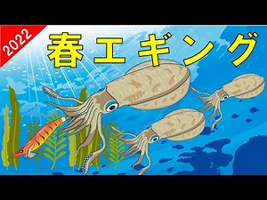 【Point of spring eging】When and place to fish and shakri