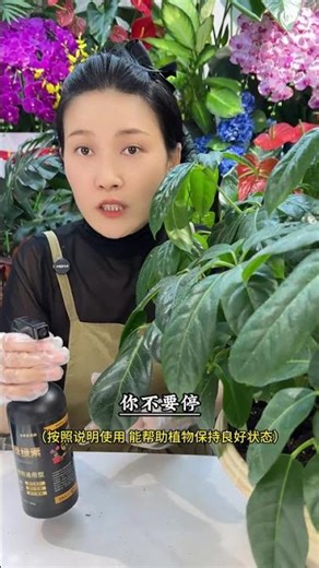 Miracle Leaf Transformation: Watch Leaves Turn Yellow and Fall in Seconds