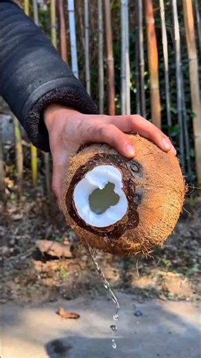 An easy way to remove the kernel from inside a coconut #shorts #coconut