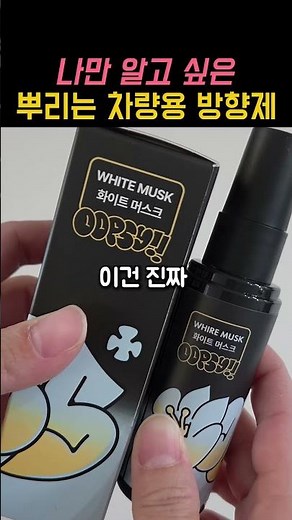 요즘 많이 쓴다는 필요할 때만 뿌리는 차량용 방향제 추천