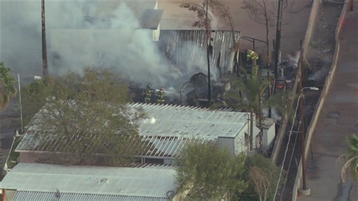 Fire destroys mobile home in Mesa; more than a dozen pets found dead inside