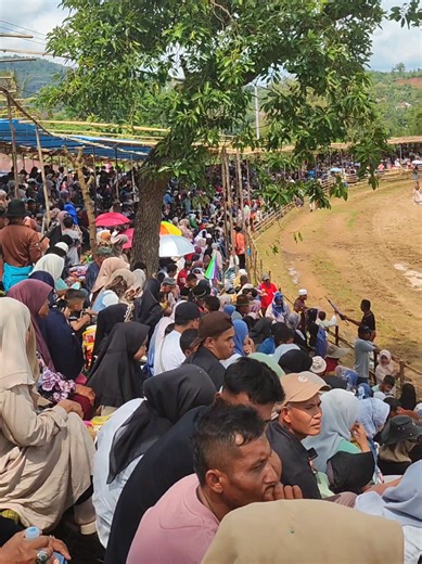 antusias masyarakat tanah datar menyaksikan lomba pacu kuda tanah datar open race 2026 di lapangan dang tuanku bukit gombak #kudapacu #pacukuda #tanahdatar #tanahdatarsumbar #sumbar