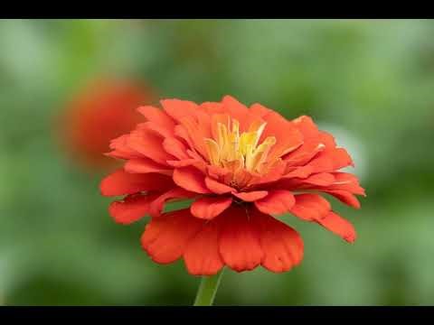 A Course in Miracles (ACIM) Workbook: Lesson 17