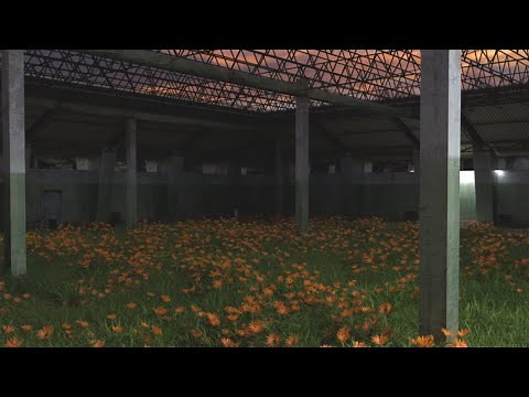 Grass Rooms Ambient Mix 2 (Backrooms, Dreamcore, Liminal Space Music, Grassrooms, Infinite Gardens)