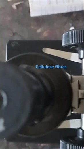 How paper look under microscope #paper #wood #plants #biology #microscope #cellulose