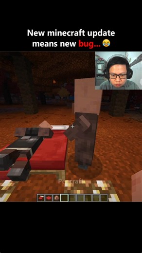 Minecraft New Bug Moment... 🥀