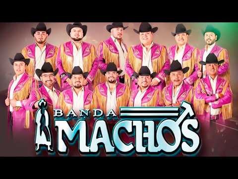 ✅Banda Machos Corridos y Rancheras 🥇Banda Machos 30 Grandes Exitos mix 2025