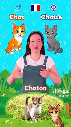 Les familles d'animaux en français pour enfants