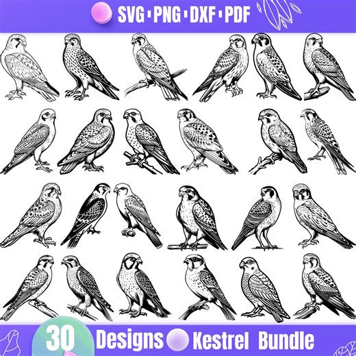 30 Kestrel SVG Bundle, Falcon Silhouette Clipart, Bird of Prey SVG for Cricut, American Kestrel Vector, Hawk Line Art, Laser Cut Files - Etsy