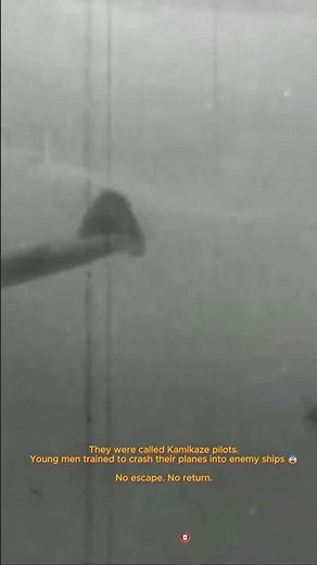 The Kamikaze Pilots – Japan’s Last Weapon 😳 #worldwar2 #history #ww2rebuilder