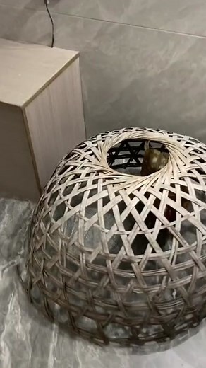 Traditional Straw Hat Weaving Process Explained