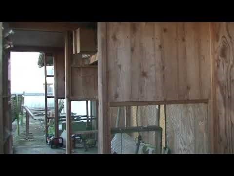 I'm going to raise the pigeon coop.