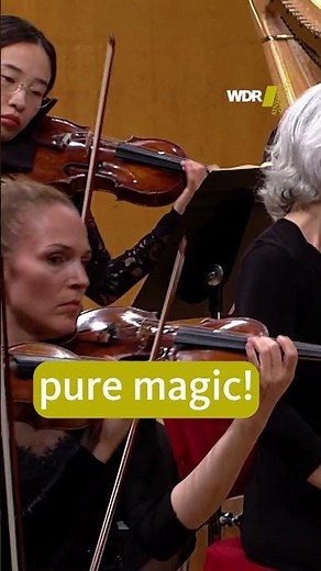 #relaxing strings in Sibelius' 1st Symphony #classicalmusic #orchestra