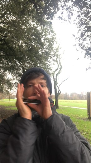 Sandy Boys on harmonica 🎶�Old-time tune with a lot of lift and drive. I break this down slowly in a full long-form video lesson (rhythm, phrasing, 3 versions, high quality tab)�Full lesson → link in comments | The Harmonica Barge