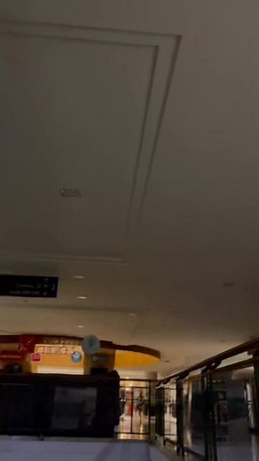 Robinson Mall Snake Man Caught on Camera