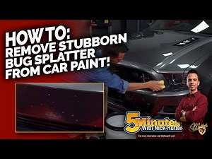 How to Safely Remove Bug Splatter Without Scratching Your Vehicle | McKee's 37