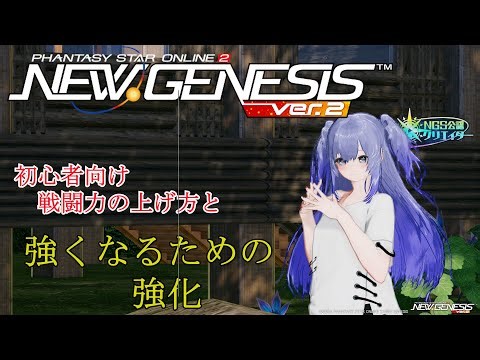 【PSO2NGS】初心者＆復帰者応援動画 戦闘力と真に強くなるための強化【えりにゃんちゃんねる】