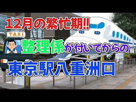 【タクシー乗り場定点観察】東京駅八重洲口タクシー乗り場Part2