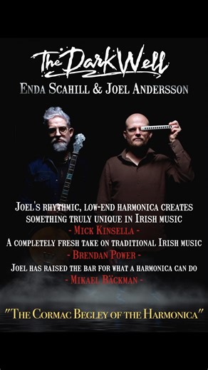 Irish Harmonica on Reels