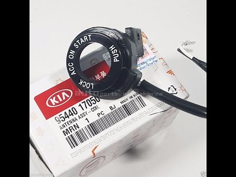 Kia Hyundai immobilizer Problem