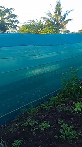 Greenhouses offer numerous benefits, including: - Extended growing season: Greenhouses allow for year-round production of crops, regardless of external weather conditions. - Climate control: Greenhouses provide a controlled environment, enabling precise temperature, humidity, and light management. - Improved crop yields: Greenhouses optimize growing conditions, leading to increased crop yields and better quality produce. - Pest and disease management: Greenhouses provide a barrier against pests 