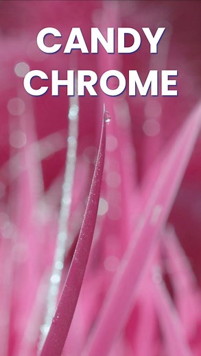 Kolari Vision on Instagram: "After more than a year of development, we are happy to announce our Candy Chrome filter, the newest infrared lens filter that comes as the third item for our Summer of Innovation! It is now available for pre-order! (Link in bio) The Candy Chrome filter can create lush pink foliage with beautiful turquoise skies & waters after a red and blue channel swap. With further post-production techniques, a variety of deep red or gold tones can be achieved. We apply premium ant
