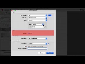 SilverFast 9 – Export Dialog for Batch Mode (English)