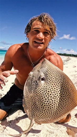 Giant Deadly Sting Ray Catch n Cook