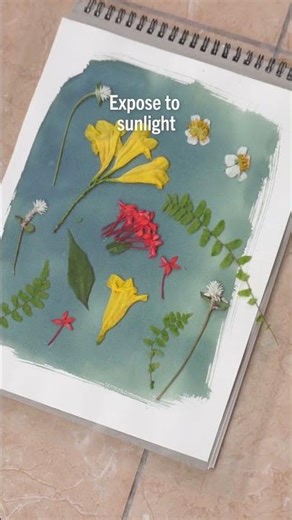How to Sun Print: Pressed Flowers Cyanotype | Excel Blades®