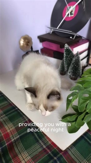 Ultrasonic Trainer: The Solution for Table-Jumping Pets