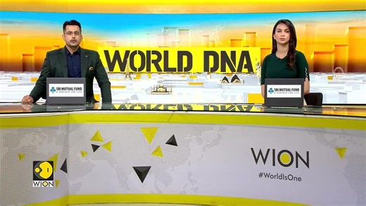 No longer extinct: Dire wolves howl again after 12,000 years