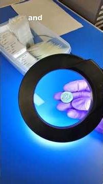 Identify and catalogue a Roman coin with me