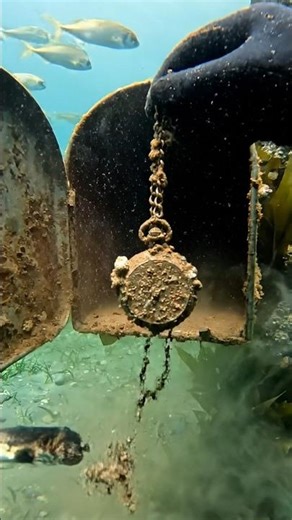 POV: A Secret Mailbox Cache Reveals Treasure… and a Sea Snake