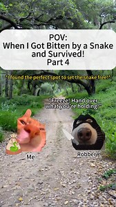 122K views · 4.1K reactions | POV:when i got bitten by a snake and survived! Part 4 #CatsOnReels #fypシ | MemesInternational | Facebook